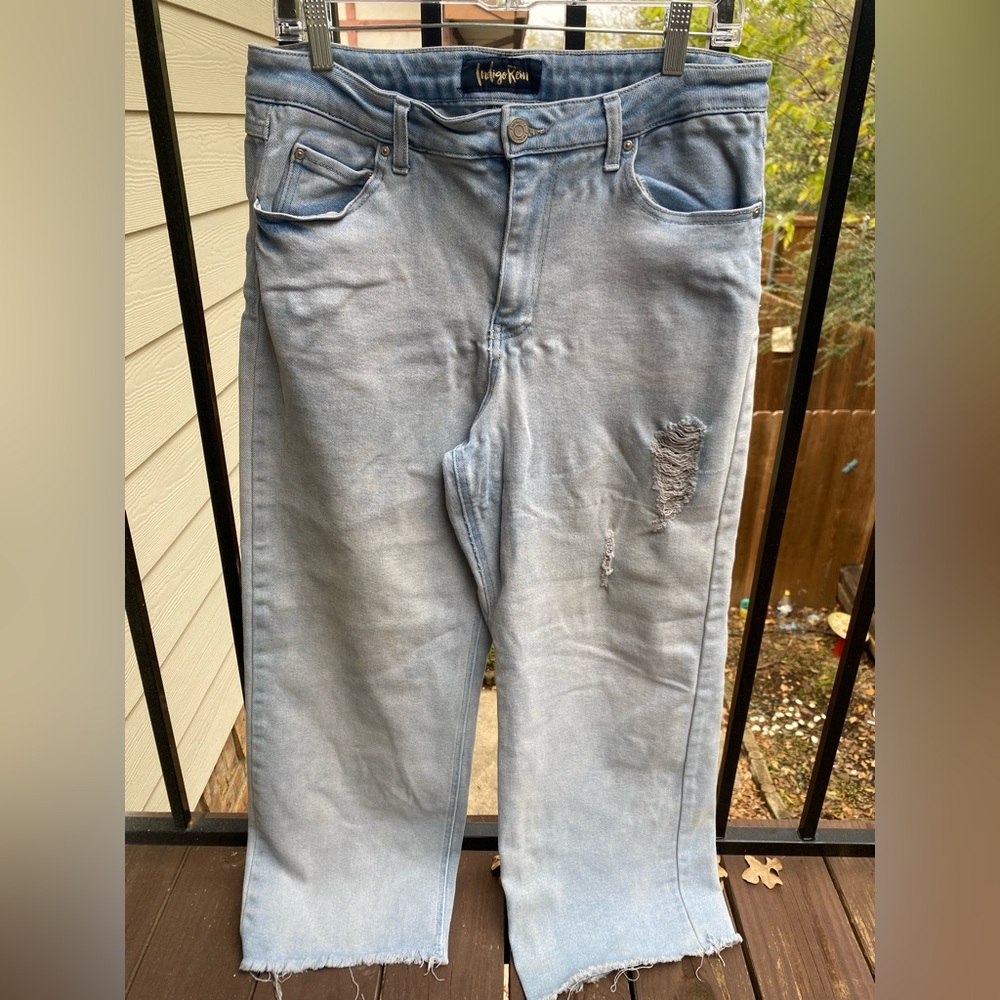 Indigo Rein Denim Jeans in Light Blue